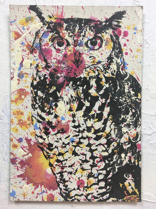 Owl