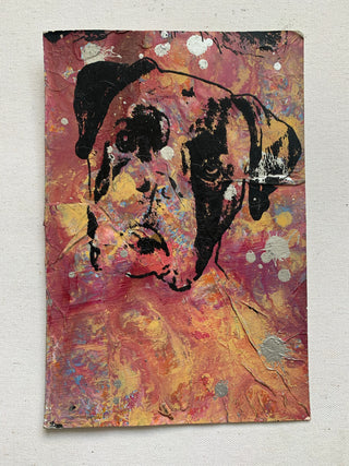 Dog 3