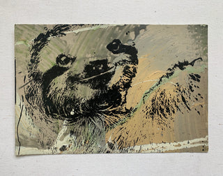 Sloth