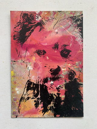 Dog 1